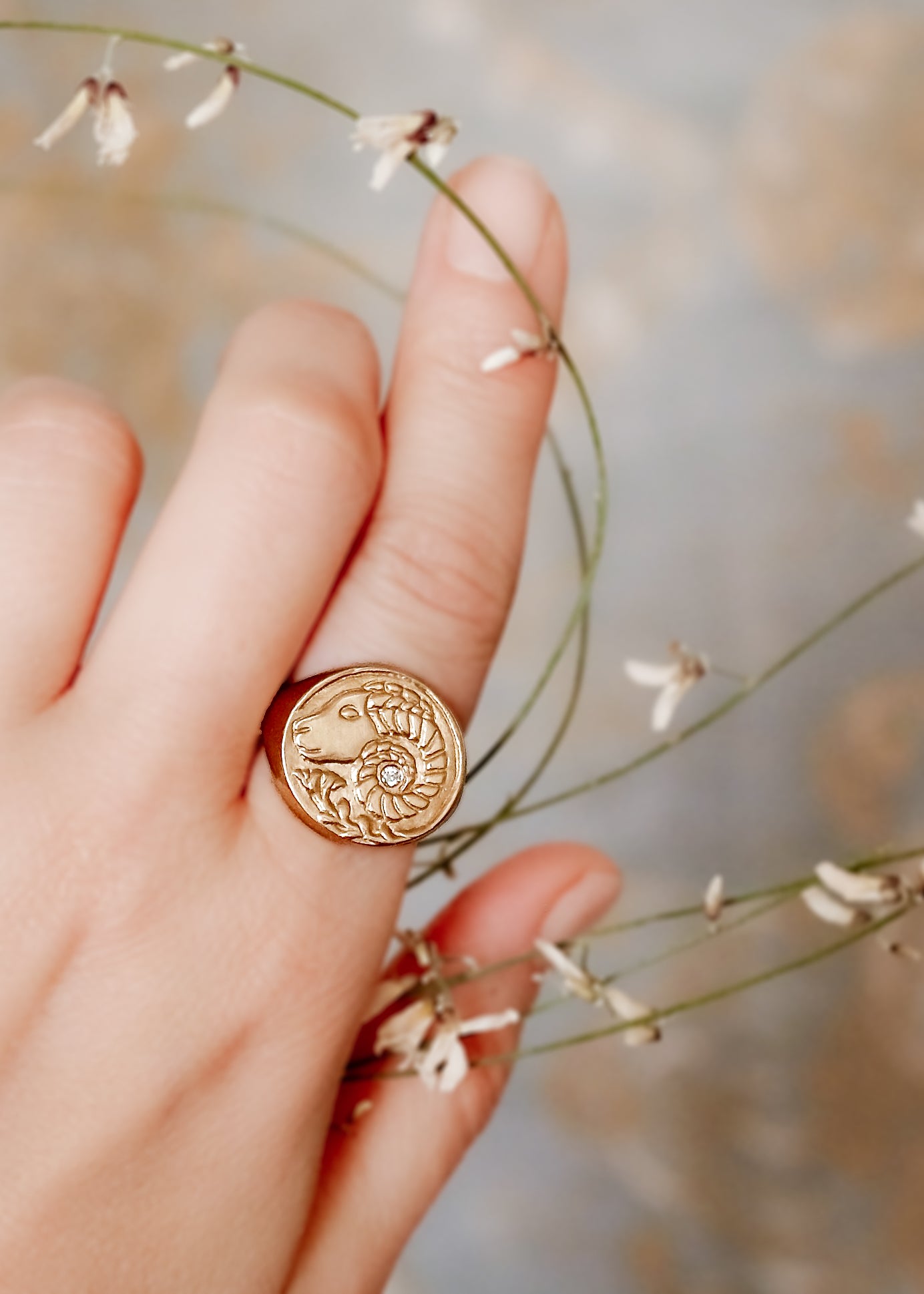 The first sign of the Zodiac, fire sign Aries harkens new beginnings and embodies action. A hand-carved Ram, dignified and strong, graces this pendant—a necklace that captures the power of the celestial sky.