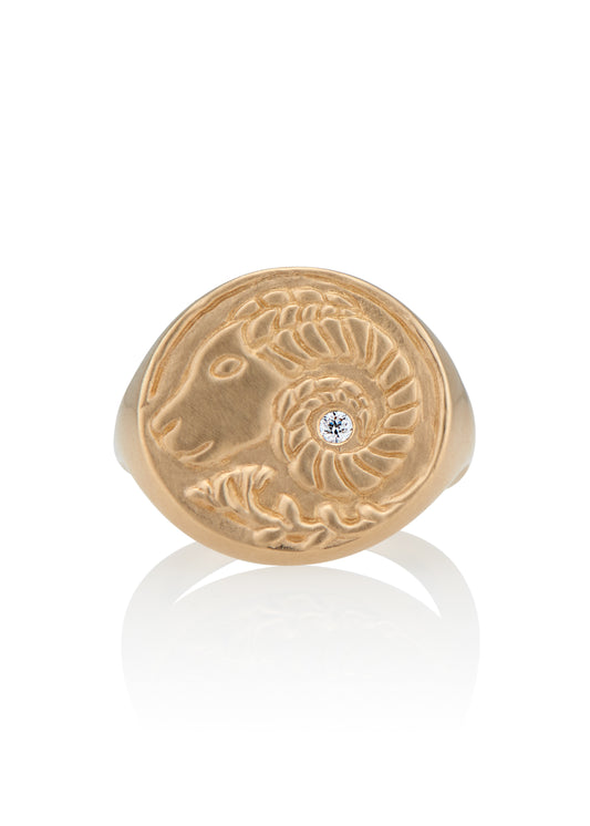 The first sign of the Zodiac, fire sign Aries harkens new beginnings and embodies action. A hand-carved Ram, dignified and strong, graces this pendant—a necklace that captures the power of the celestial sky.