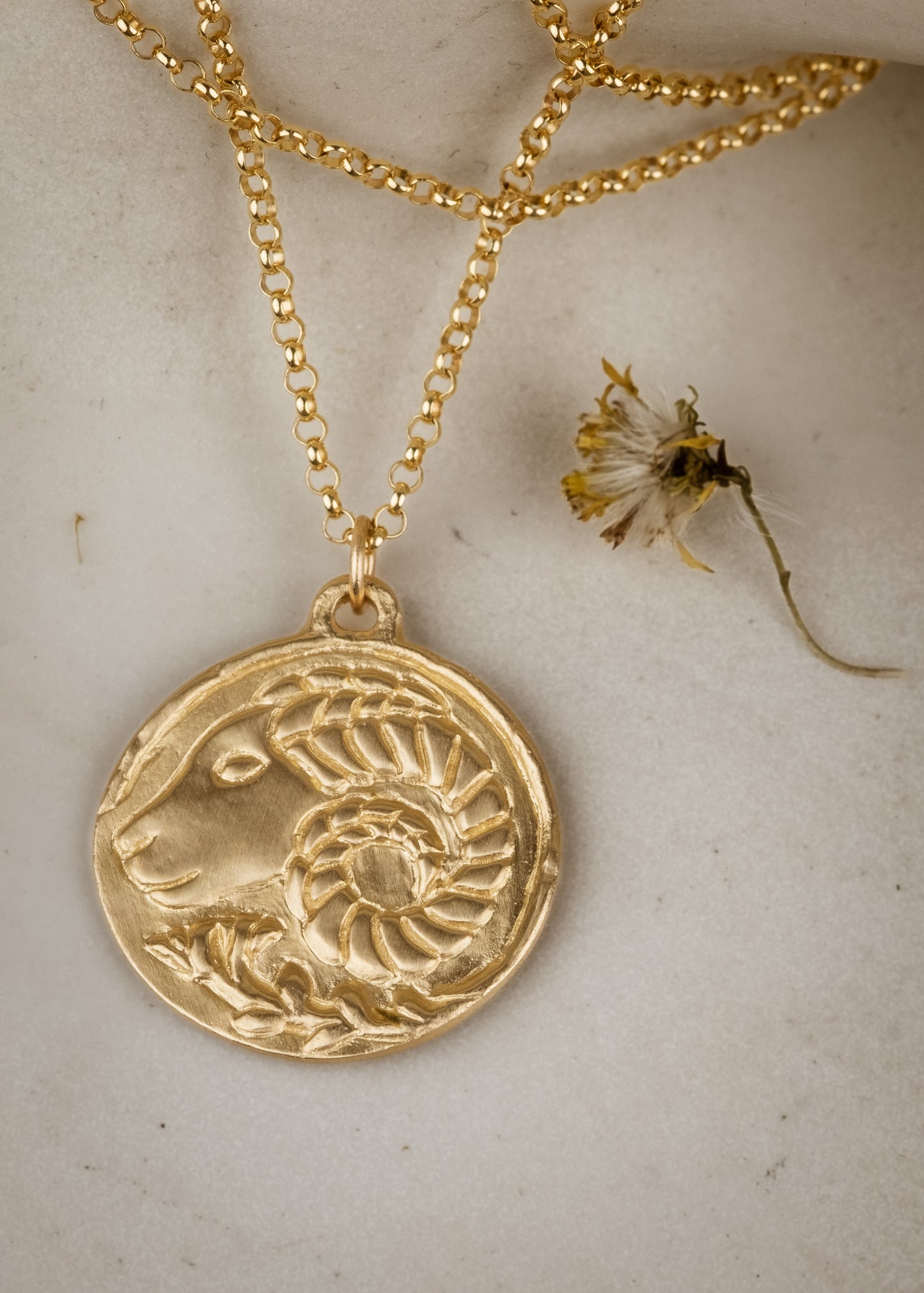 The first sign of the Zodiac, fire sign Aries harkens new beginnings and embodies action. A hand-carved Ram, dignified and strong, graces this pendant—a necklace that captures the power of the celestial sky. 