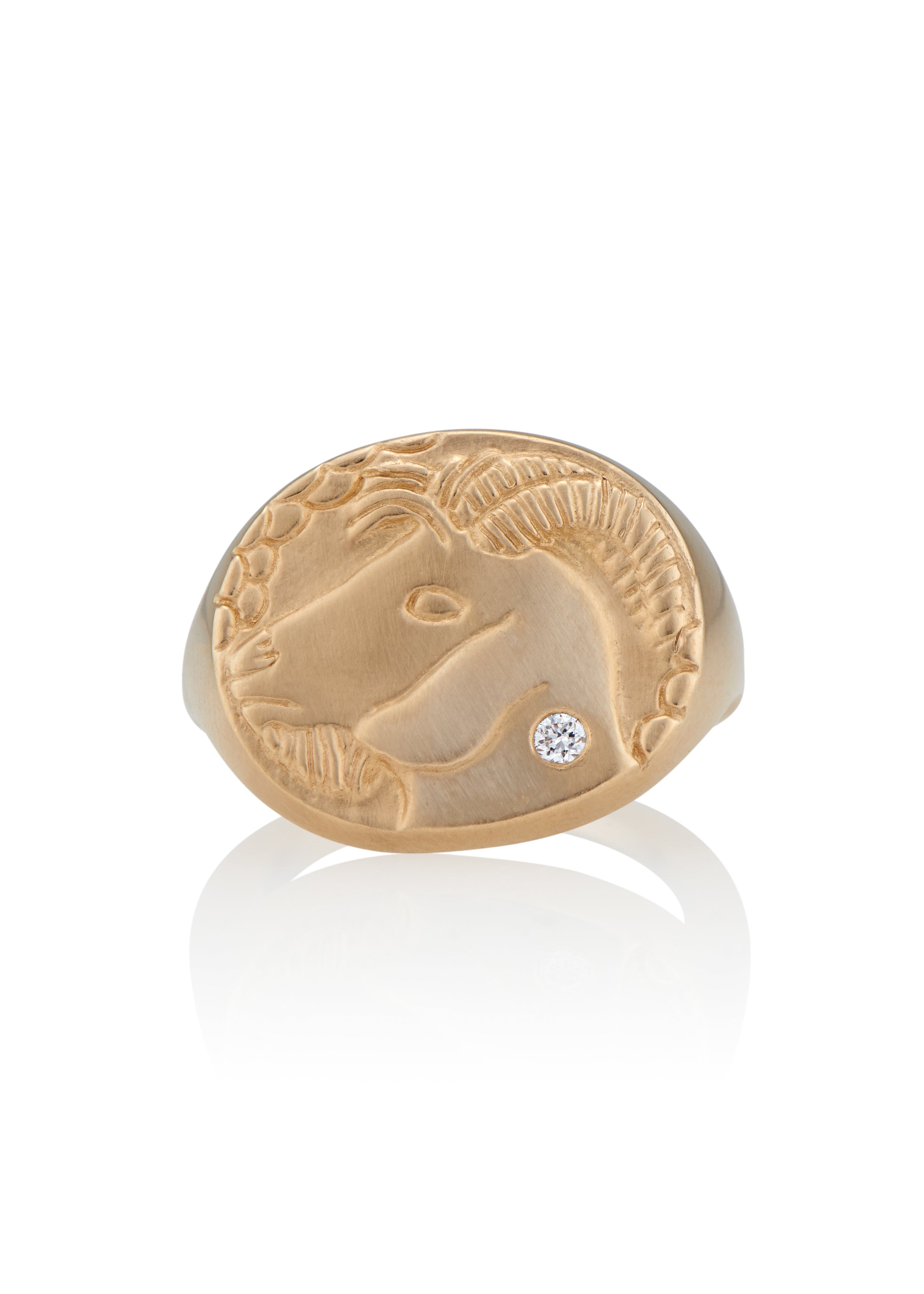 CAPRICORN RING – Susan Highsmith